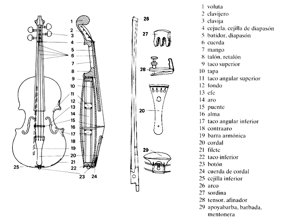 Partes del violín