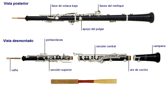 Vistas del oboe
