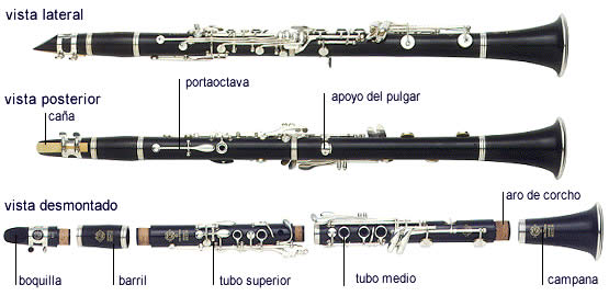 clarinetes