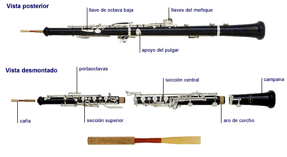 oboe2